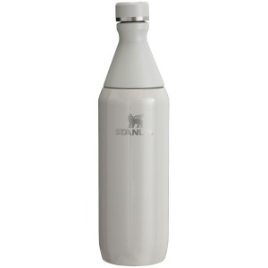 Stanley All Day Slim 20 OZ Water Bottles Grey | USA-MXG174860