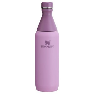 Stanley All Day Slim 20 OZ Water Bottles Purple | USA-OJP014385