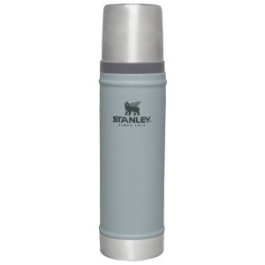 Stanley Classic Legendary 20 OZ Vacuum Bottles Silver | USA-TRA065281