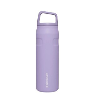 Stanley IceFlow™ With Cap And Carry+ Lid 24 OZ Water Bottles Lavender | USA-YEA309271