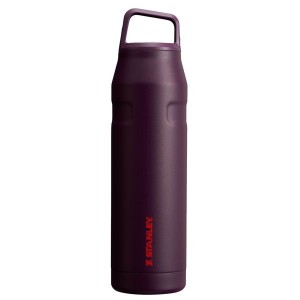 Stanley IceFlow™ With Cap And Carry+ Lid 36 OZ Water Bottles Brown | USA-PZV163524