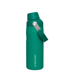 Stanley IceFlow™ With Fast Flow Lid 16 OZ Water Bottles Deep Green | USA-ERU864071