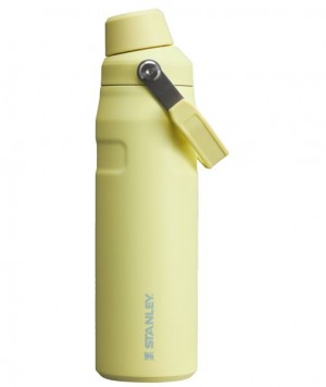 Stanley IceFlow™ With Fast Flow Lid 24 OZ Water Bottles Yellow | USA-FEV368724