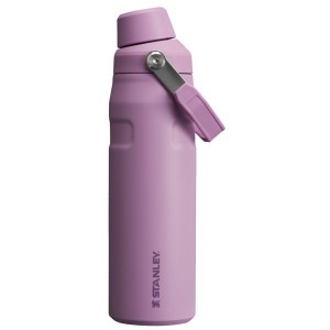 Stanley IceFlow™ With Fast Flow Lid 24 OZ Water Bottles Purple | USA-ULS128704