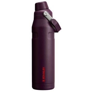 Stanley IceFlow™ With Fast Flow Lid 36 OZ Water Bottles Brown | USA-OUN486937