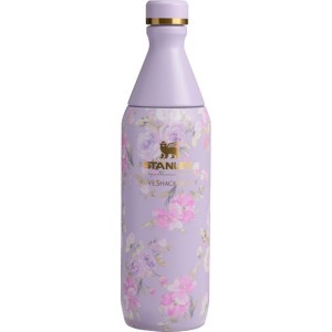 Stanley Loveshackfancy All Day Slim Bottle 20 OZ Purple / Pink / Gold | USA-DXC450196