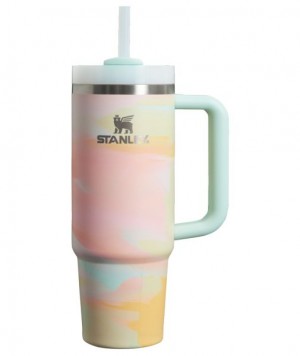 Stanley The Clean Slate Quencher H2.0 FlowState™ Tumbler 30 OZ Multicolor | USA-NHU413859