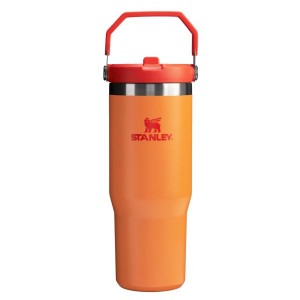 Stanley The Heat Wave IceFlow™ Flip Straw 30 OZ Tumbler Gold | USA-CJH358076