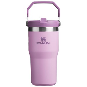 Stanley The IceFlow™ Flip Straw 20 OZ Tumbler Purple / Silver | USA-PHF921307