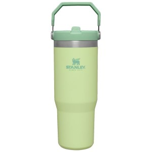 Stanley The IceFlow™ Flip Straw 30 OZ Tumbler Yellow / Green | USA-BDT406185