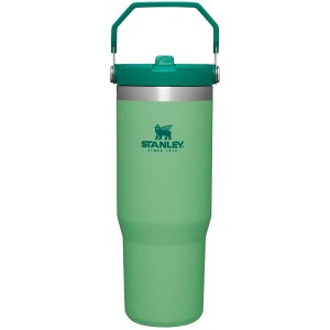 Stanley The IceFlow™ Flip Straw 30 OZ Tumbler Green | USA-ERF408721