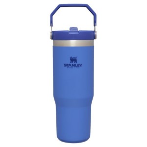 Stanley The IceFlow™ Flip Straw 30 OZ Tumbler Blue / Silver | USA-MIX820754