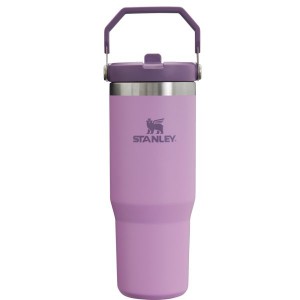 Stanley The IceFlow™ Flip Straw 30 OZ Tumbler Purple / Silver | USA-POV708235