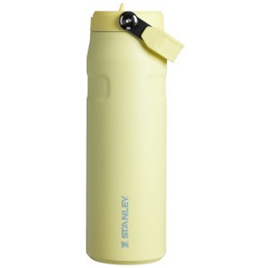 Stanley The IceFlow™ With Flip Straw Lid 24 OZ Water Bottles Yellow | USA-KHL429631