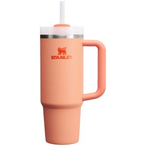 Stanley The Quencher H2.0 FlowState™ Tumbler 30 OZ Pink | USA-KUS504698