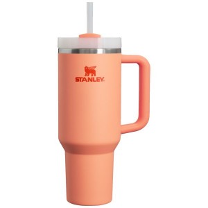 Stanley The Quencher H2.0 FlowState™ Tumbler 40 OZ Pink | USA-IJP428751