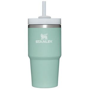 Stanley The Quencher H2.0 FlowState™ Tumbler 20 OZ Green | USA-VQC045938