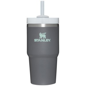 Stanley The Quencher H2.0 FlowState™ Tumbler 20 OZ Deep Grey | USA-PLB025916