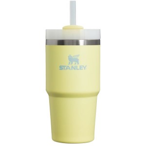 Stanley The Quencher H2.0 FlowState™ Tumbler 20 OZ Yellow | USA-XQV604278