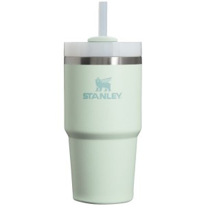 Stanley The Quencher H2.0 FlowState™ Tumbler 20 OZ Light Green | USA-XGW460127