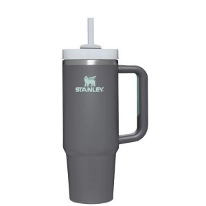 Stanley The Quencher H2.0 FlowState™ Tumbler 30 OZ Deep Grey | USA-VBF902846