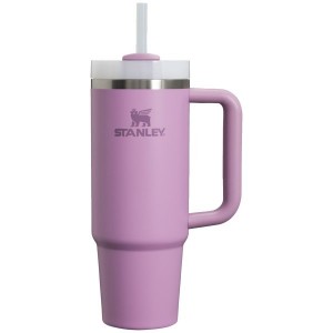 Stanley The Quencher H2.0 FlowState™ Tumbler 30 OZ Purple | USA-NFA952674