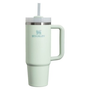 Stanley The Quencher H2.0 FlowState™ Tumbler 30 OZ Light Green | USA-EST198062