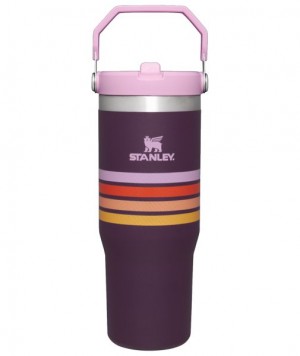 Stanley The Varsity Iceflow™ Flip Straw 30 OZ Tumbler Purple Stripes | USA-QLO609871