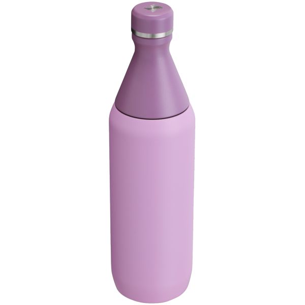 Stanley All Day Slim 20 OZ Water Bottles Purple | USA-OJP014385