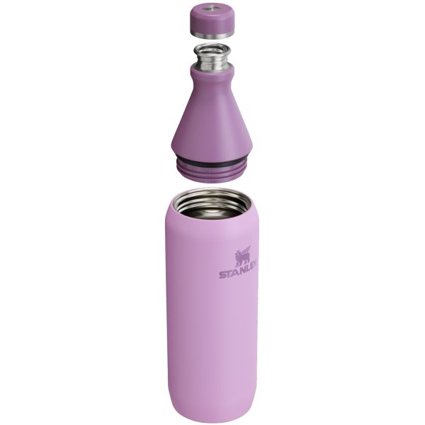 Stanley All Day Slim 20 OZ Water Bottles Purple | USA-OJP014385