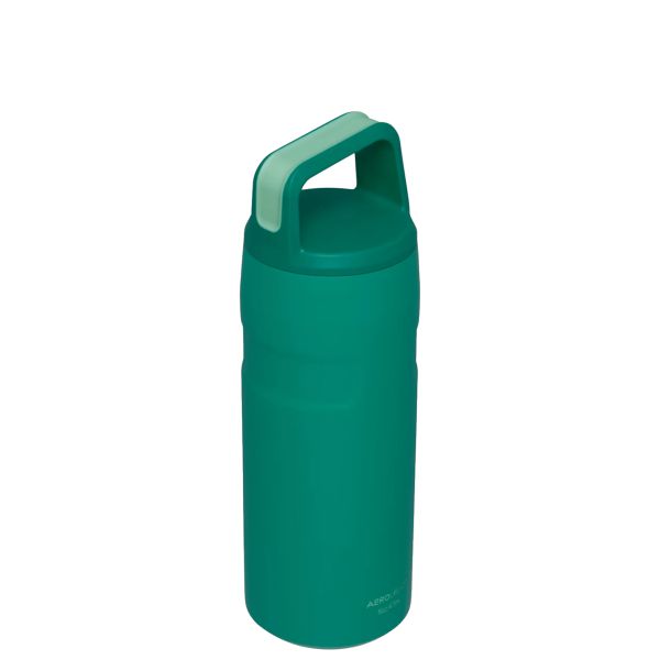 Stanley IceFlow™ With Cap And Carry+ Lid 16 OZ Water Bottles Deep Green | USA-DXH367590