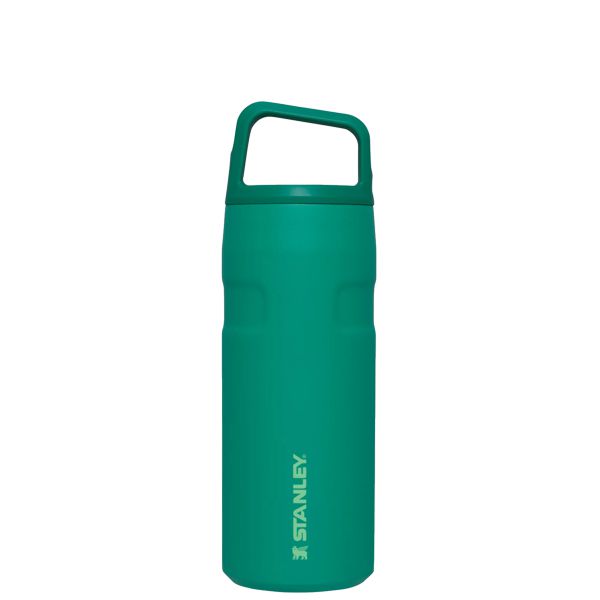 Stanley IceFlow™ With Cap And Carry+ Lid 16 OZ Water Bottles Deep Green | USA-DXH367590