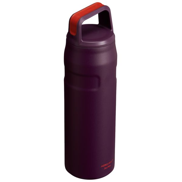 Stanley IceFlow™ With Cap And Carry+ Lid 24 OZ Water Bottles Brown | USA-QUJ107648