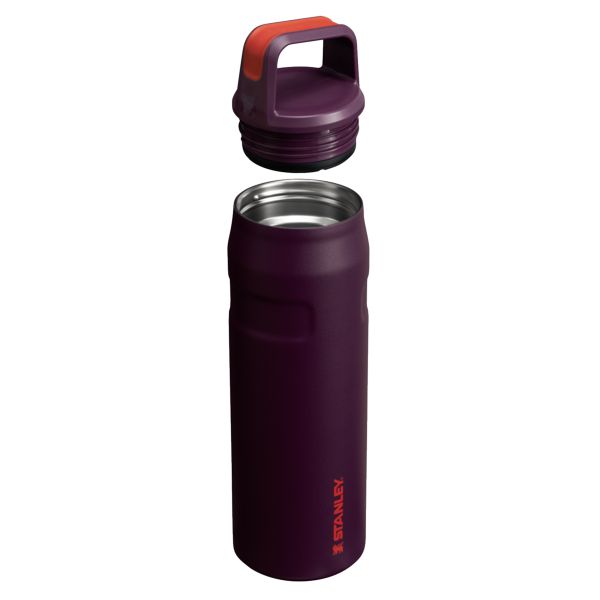 Stanley IceFlow™ With Cap And Carry+ Lid 24 OZ Water Bottles Brown | USA-QUJ107648