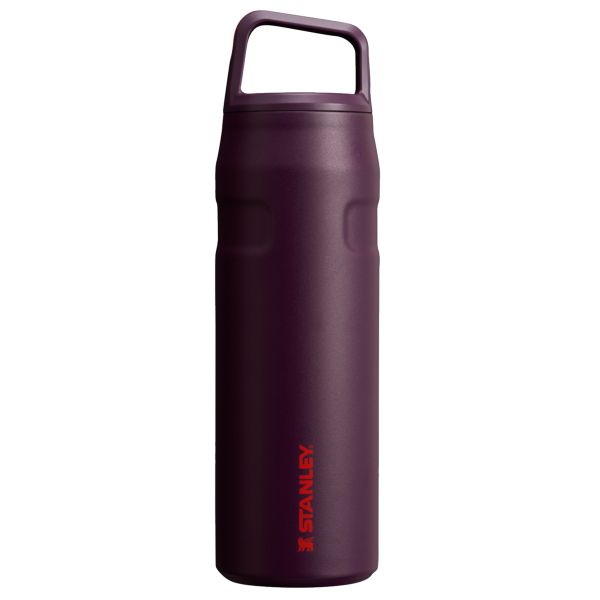 Stanley IceFlow™ With Cap And Carry+ Lid 24 OZ Water Bottles Brown | USA-QUJ107648