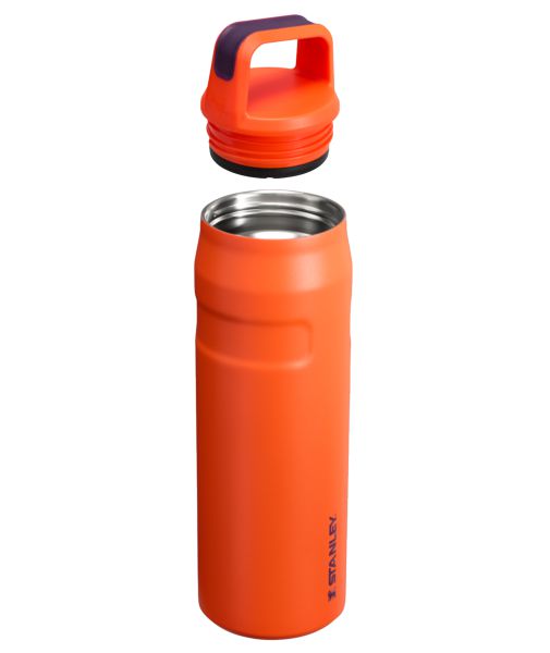 Stanley IceFlow™ With Cap And Carry+ Lid 24 OZ Water Bottles Purple | USA-BOI912435