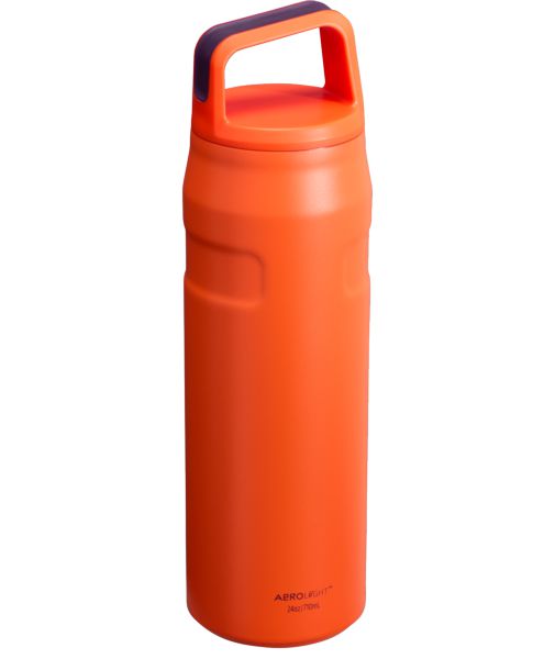 Stanley IceFlow™ With Cap And Carry+ Lid 24 OZ Water Bottles Purple | USA-BOI912435