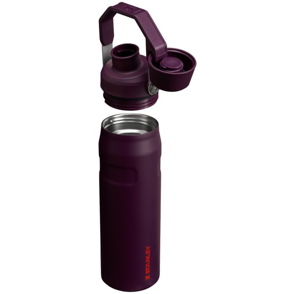 Stanley IceFlow™ With Fast Flow Lid 24 OZ Water Bottles Brown | USA-TBI312478