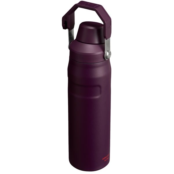 Stanley IceFlow™ With Fast Flow Lid 24 OZ Water Bottles Brown | USA-TBI312478