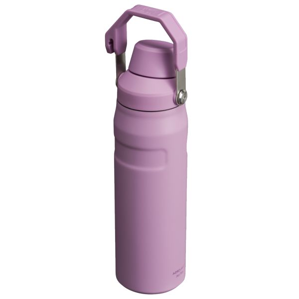 Stanley IceFlow™ With Fast Flow Lid 24 OZ Water Bottles Purple | USA-ULS128704