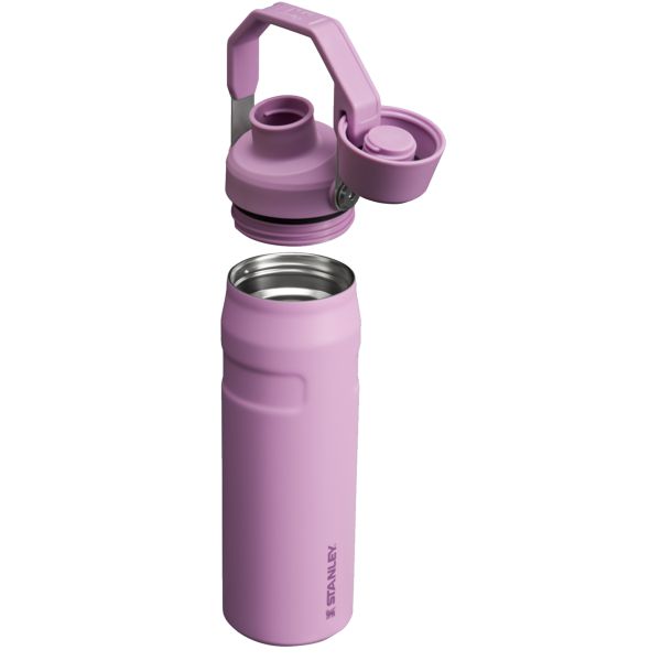 Stanley IceFlow™ With Fast Flow Lid 24 OZ Water Bottles Purple | USA-ULS128704