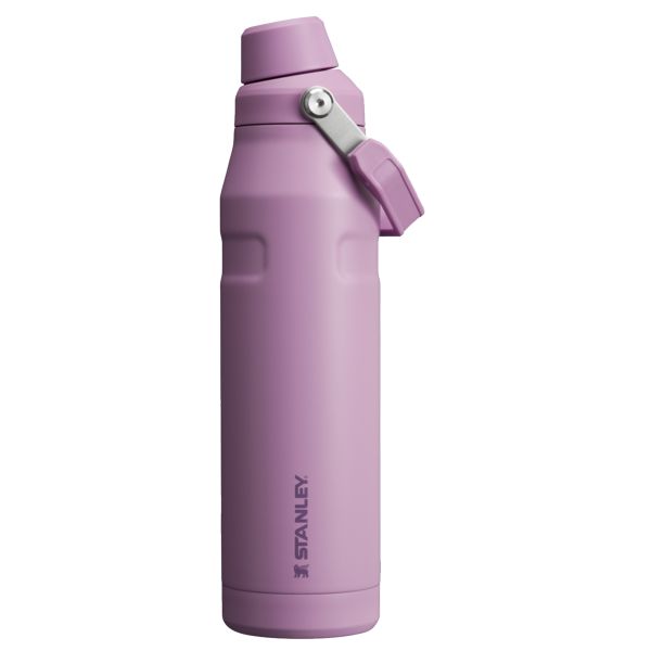 Stanley IceFlow™ With Fast Flow Lid 36 OZ Water Bottles Purple | USA-PGV194726