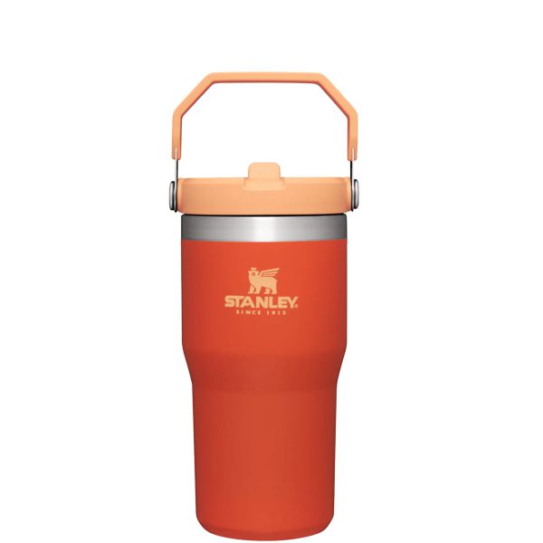 Stanley The IceFlow™ Flip Straw 20 OZ Tumbler Orange / Silver | USA-HCZ230596