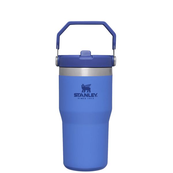 Stanley The IceFlow™ Flip Straw 20 OZ Tumbler Blue / Silver | USA-RQB427138