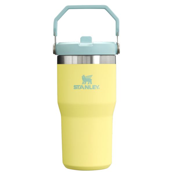 Stanley The IceFlow™ Flip Straw 20 OZ Tumbler Yellow / Silver | USA-PXQ019523