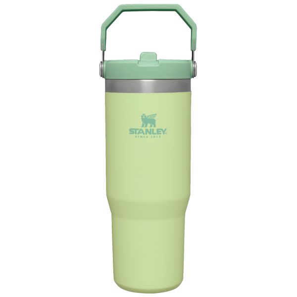 Stanley The IceFlow™ Flip Straw 30 OZ Tumbler Yellow / Green | USA-BDT406185