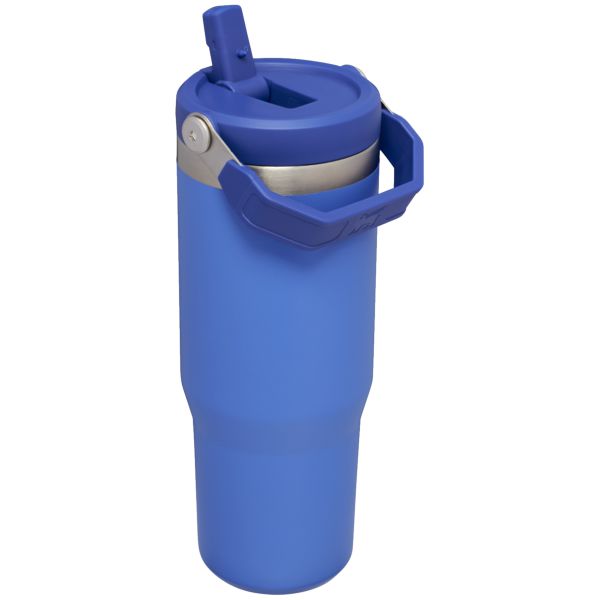 Stanley The IceFlow™ Flip Straw 30 OZ Tumbler Blue / Silver | USA-MIX820754