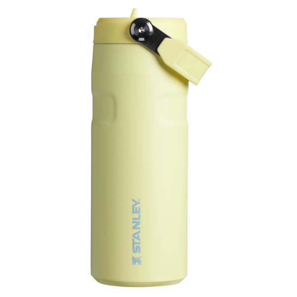 Stanley The IceFlow™ With Flip Straw Lid 16 OZ Water Bottles Yellow | USA-WZT296401