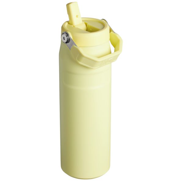 Stanley The IceFlow™ With Flip Straw Lid 24 OZ Water Bottles Yellow | USA-KHL429631