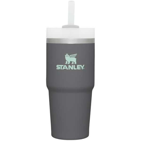 Stanley The Quencher H2.0 FlowState™ Tumbler 14 OZ Deep Grey | USA-ZBL657940